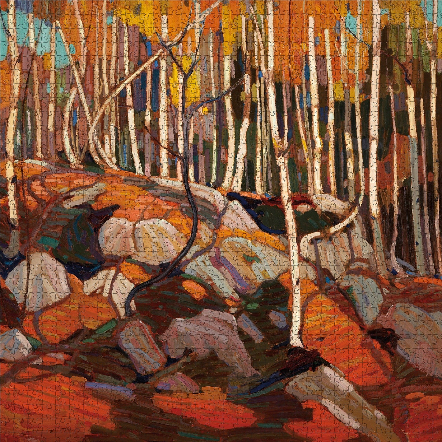 Pomegranate - Tom Thomson: The Birch Grove, Autumn 1000-Piece Jigsaw Puzzle - PMA Store at the Portland Museum of Art, Maine