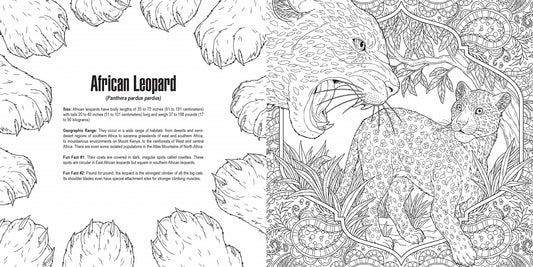 Penguin Random House LLC - Cats: A Smithsonian Coloring Book - PMA Store at the Portland Museum of Art, Maine