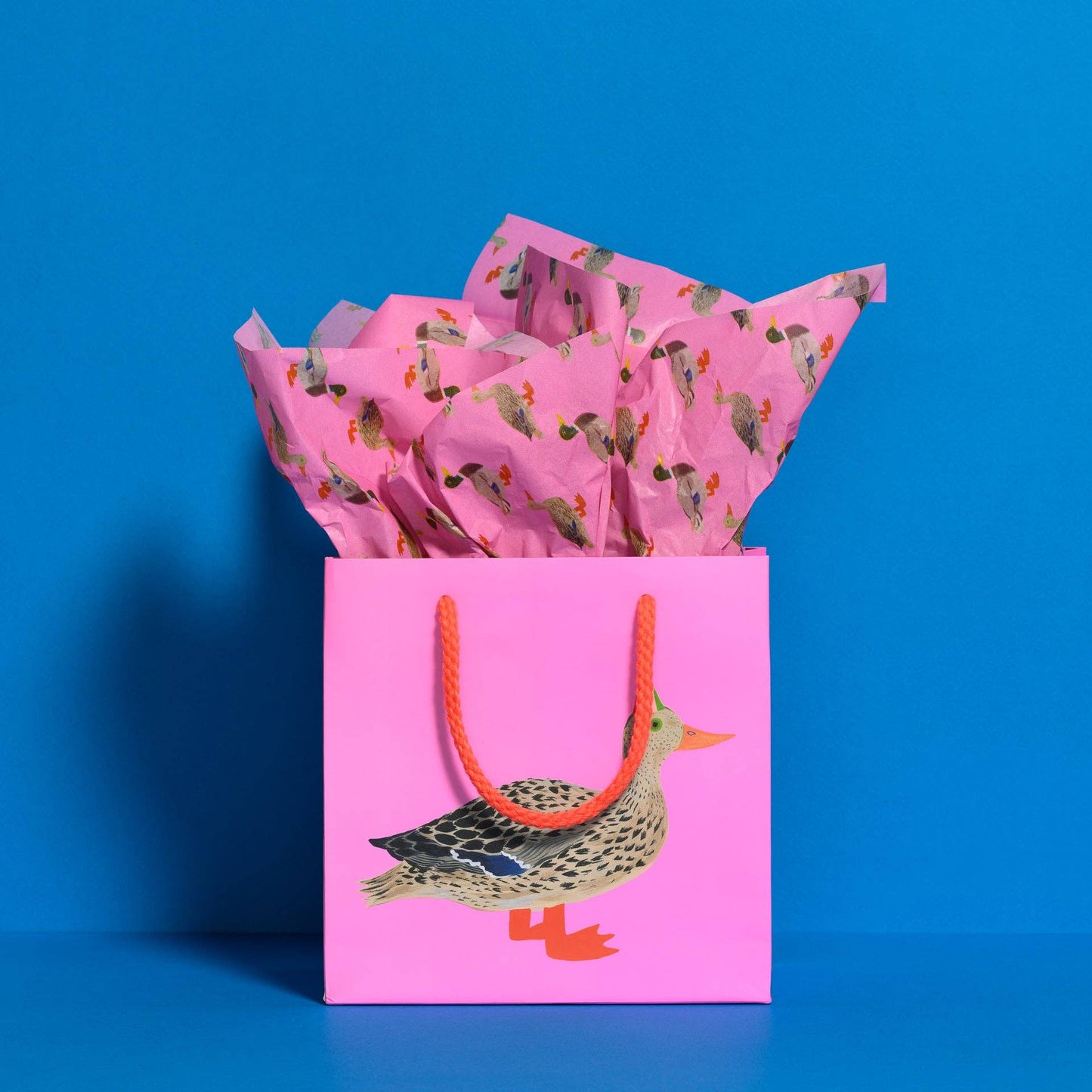 Quacky Birthday tissue paper: 5 Sheets - PMA Store at the Portland Museum of Art, Maine