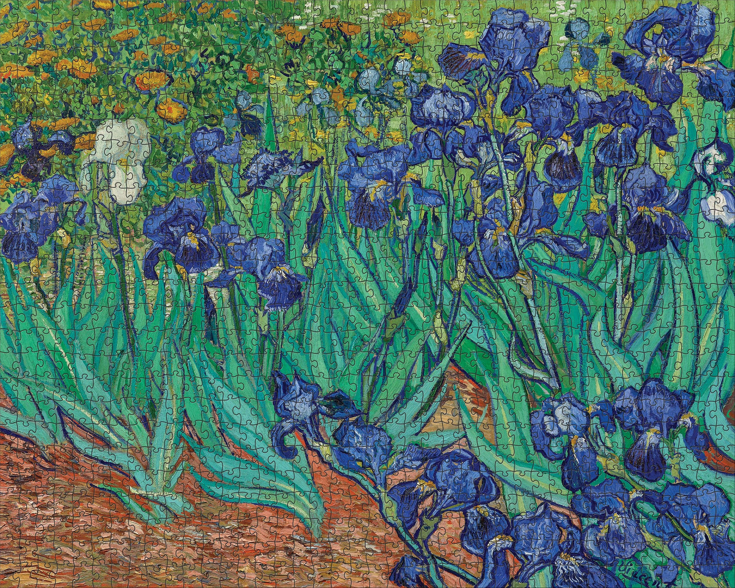 Pomegranate - Vincent van Gogh: Irises 1000-piece Jigsaw Puzzle - PMA Store at the Portland Museum of Art, Maine