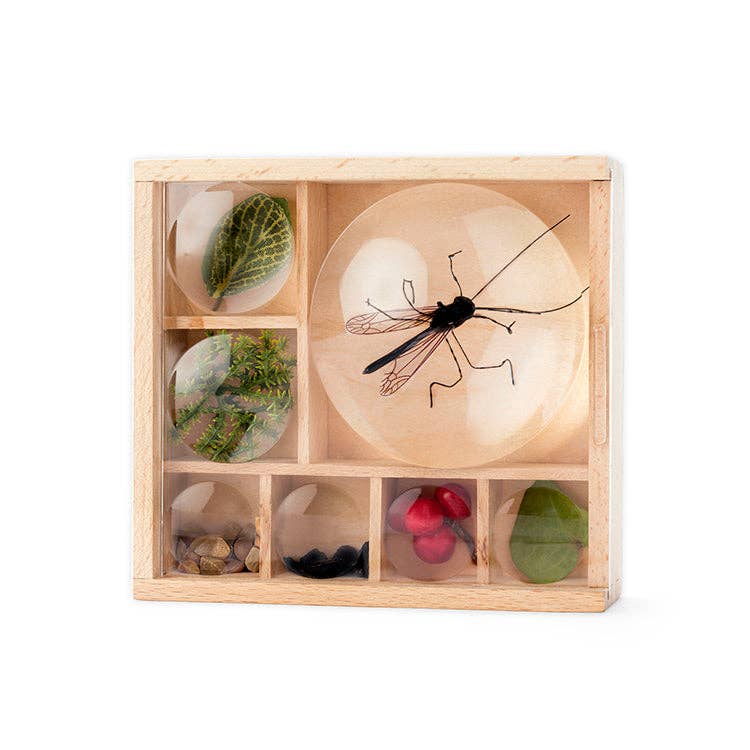 HUCKLEBERRY MY LITTLE MUSEUM - PMA Store at the Portland Museum of Art, Maine