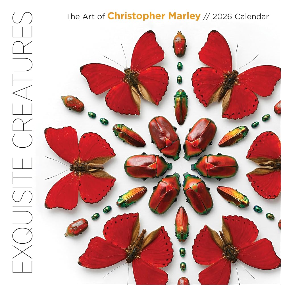 Wall Calendar 2026, Exquisite Creatures: The Art of Christopher Marley, 12 Months, Large Grid Design Featuring 12 Artworks cover image