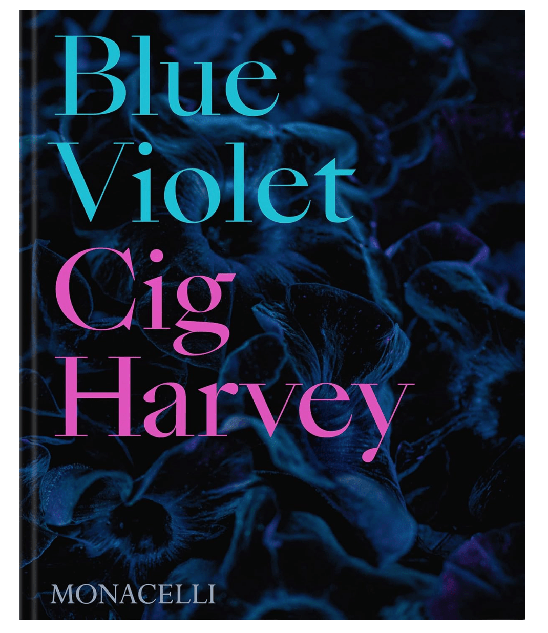Cig Harvey: Blue Violet - PMA Store at the Portland Museum of Art, Maine
