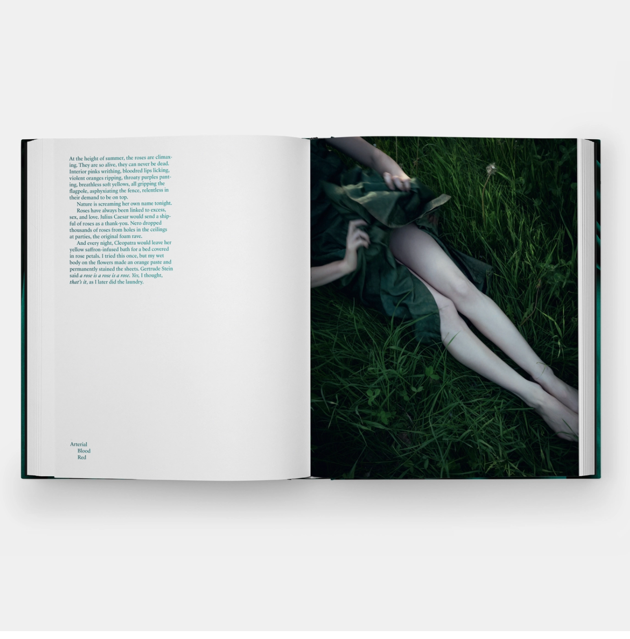 SIGNED COPY of Emerald Drifters by Cig Harvey, Ocean Vuong - PMA Store at the Portland Museum of Art, Maine