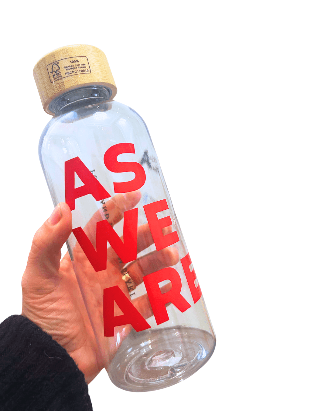 PMA AS WE ARE WATER BOTTLE 22 OZ. - PMA Store at the Portland Museum of Art, Maine