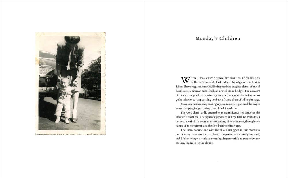 Just Kids Illustrated Edition: Patti Smith - PMA Store at the Portland Museum of Art, Maine