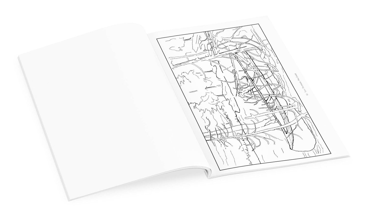 Pomegranate - The Group of Seven Coloring Book - PMA Store at the Portland Museum of Art, Maine