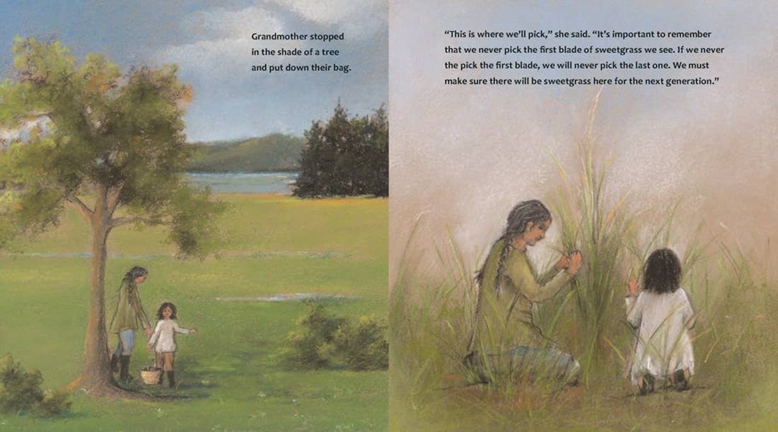 The First Blade of Sweetgrass: Hardcover - PMA Store at the Portland Museum of Art, Maine