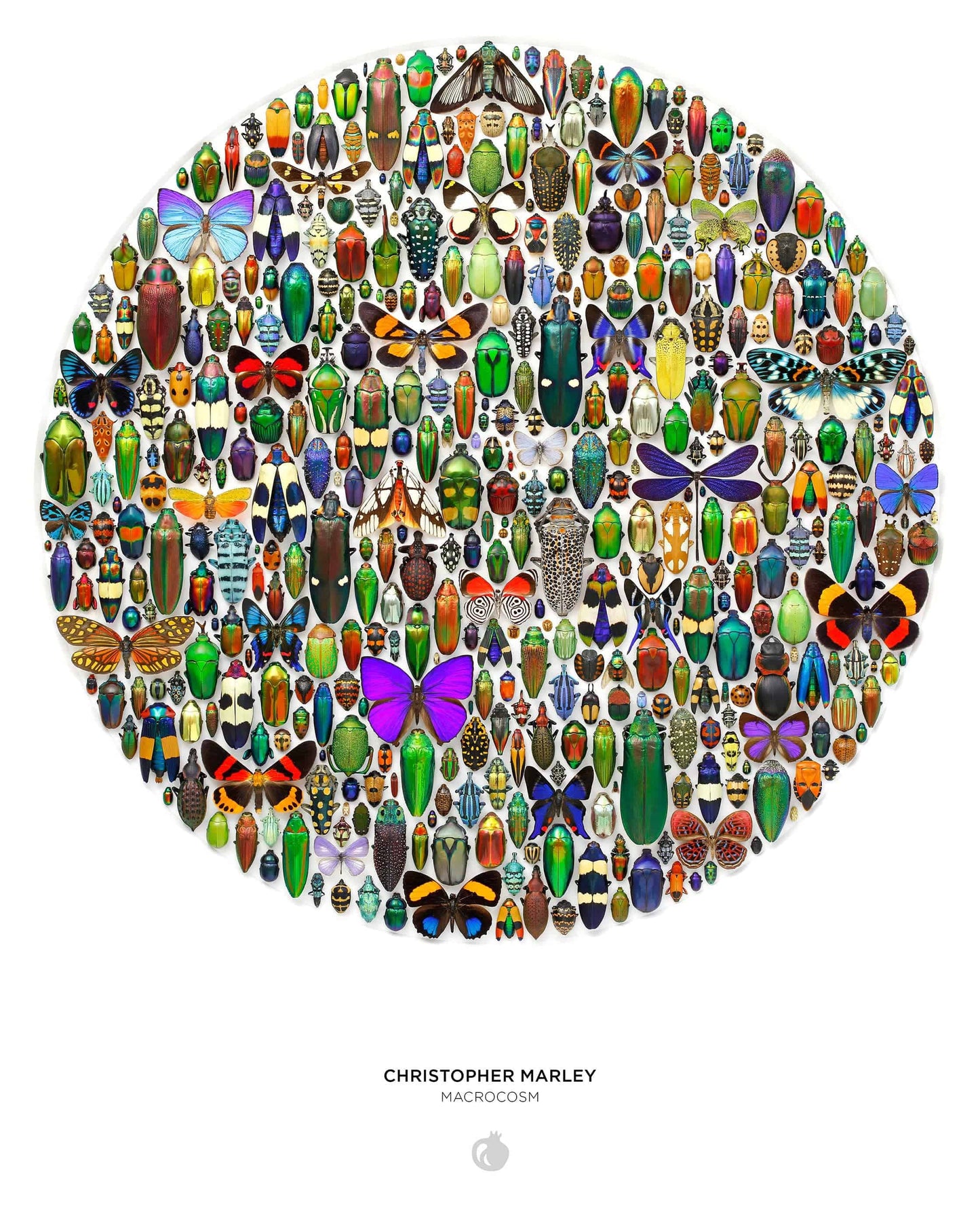 Pomegranate - Christopher Marley: Macrocosm 500-Piece Circular Jigsaw Puzzle - PMA Store at the Portland Museum of Art, Maine