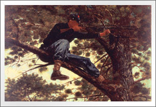 Sharpshooter, 1863 by Winslow Homer - PMA Store at the Portland Museum of Art, Maine