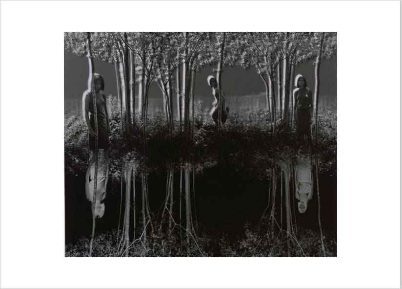 Small Woods Where I Met Myself, 1967, Jerry N. Uelsmann (United States, 1934-2022) - PMA Store at the Portland Museum of Art, Maine