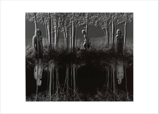 Small Woods Where I Met Myself, 1967, Jerry N. Uelsmann (United States, 1934-2022) - PMA Store at the Portland Museum of Art, Maine