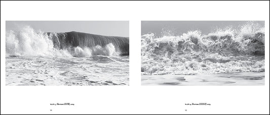 Clifford Ross: Sightlines Ed. by Jessica May, Contributions by David M. Lubin and Alexander Nemerov - PMA Store at the Portland Museum of Art, Maine