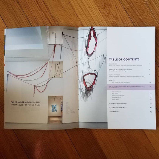 Carrie Moyer and Sheila Pepe: Tabernacles for Trying Times - PMA Store at the Portland Museum of Art, Maine