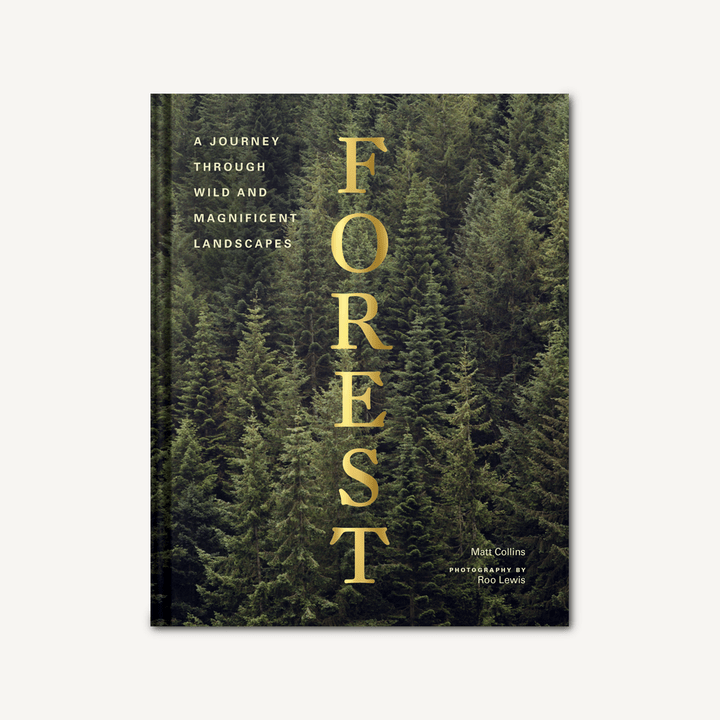 Forest: Journey through Wild and Magnificent Landscapes - PMA Store at the Portland Museum of Art, Maine