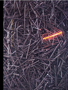 Bright Common Spikes: The Sculpture of John Bisbee - PMA Store at the Portland Museum of Art, Maine