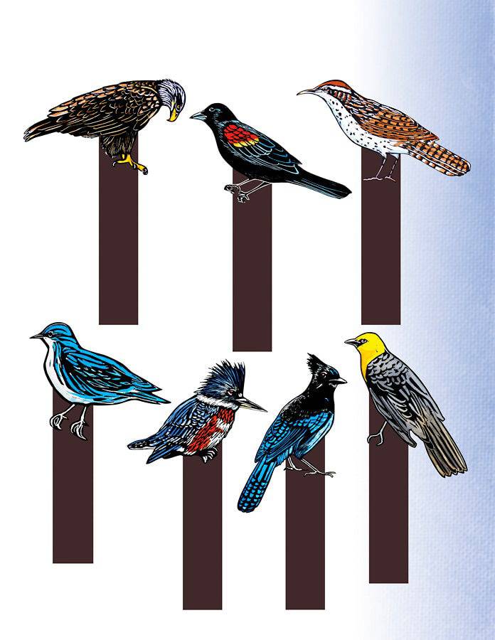 Molly Hashimoto’s Art & Nature Activity Book - PMA Store at the Portland Museum of Art, Maine