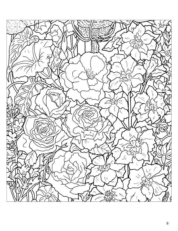 Rosalind Wise: Flower Cycle Coloring Book - PMA Store at the Portland Museum of Art, Maine