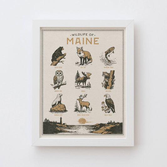 Benoit's Design Co. - Maine Wildlife Print: Unframed 8x10 Print - PMA Store at the Portland Museum of Art, Maine
