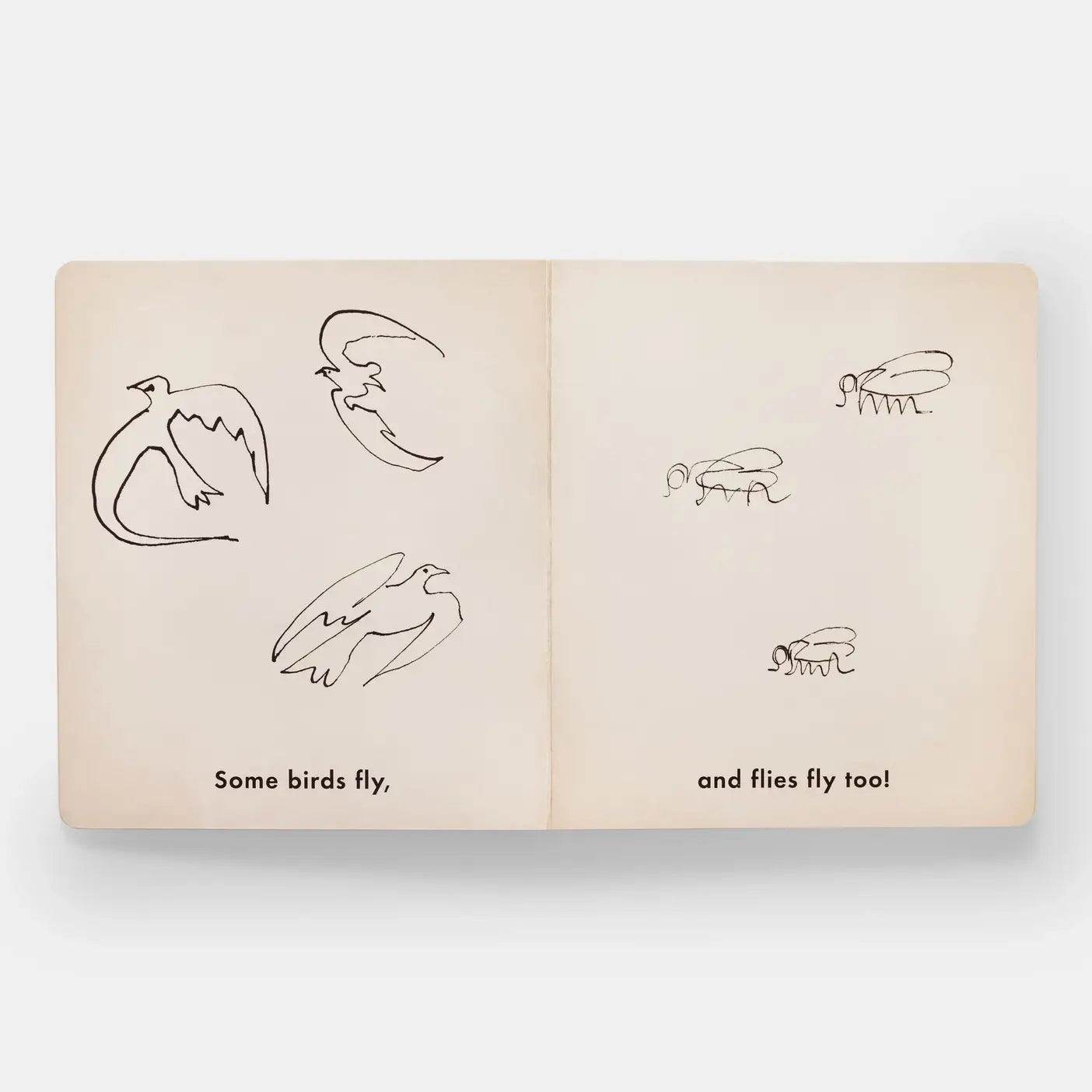 Birds & Other Animals - PMA Store at the Portland Museum of Art, Maine