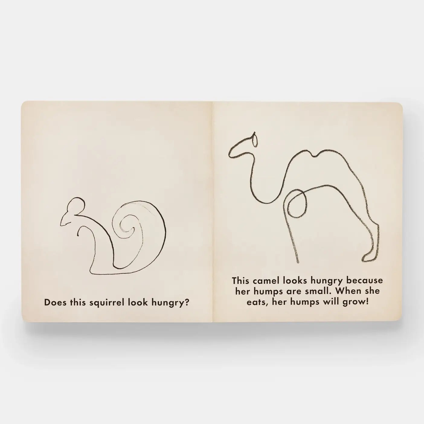 Birds & Other Animals - PMA Store at the Portland Museum of Art, Maine