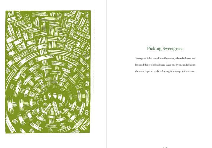 VisionWorks LLC - Braiding Sweetgrass, by Robin Wall Kimmerer. Hardcover - PMA Store at the Portland Museum of Art, Maine