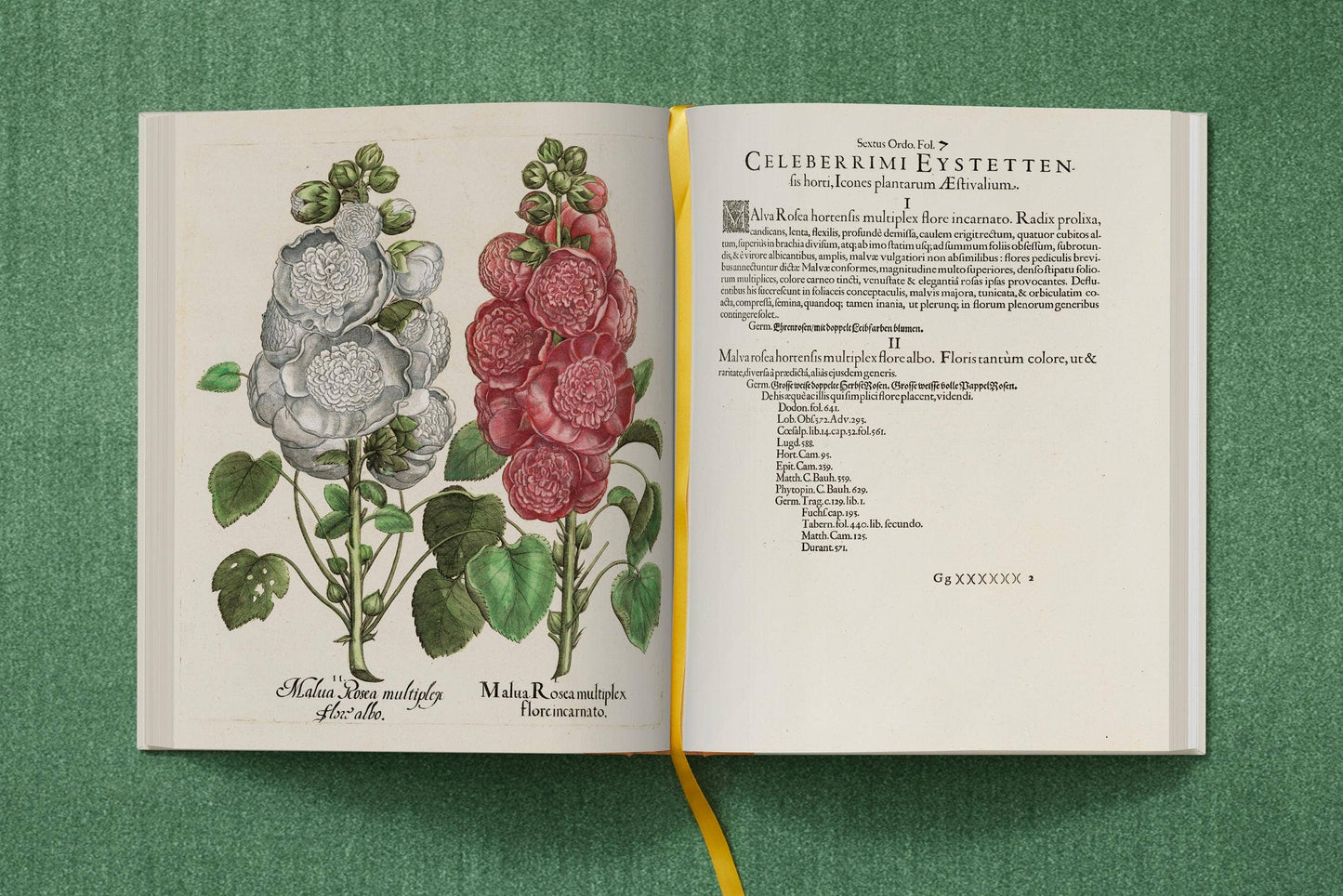 TASCHEN America - Basilius Besler. The Garden at Eichstätt (German, French, English) (FFE) - PMA Store at the Portland Museum of Art, Maine