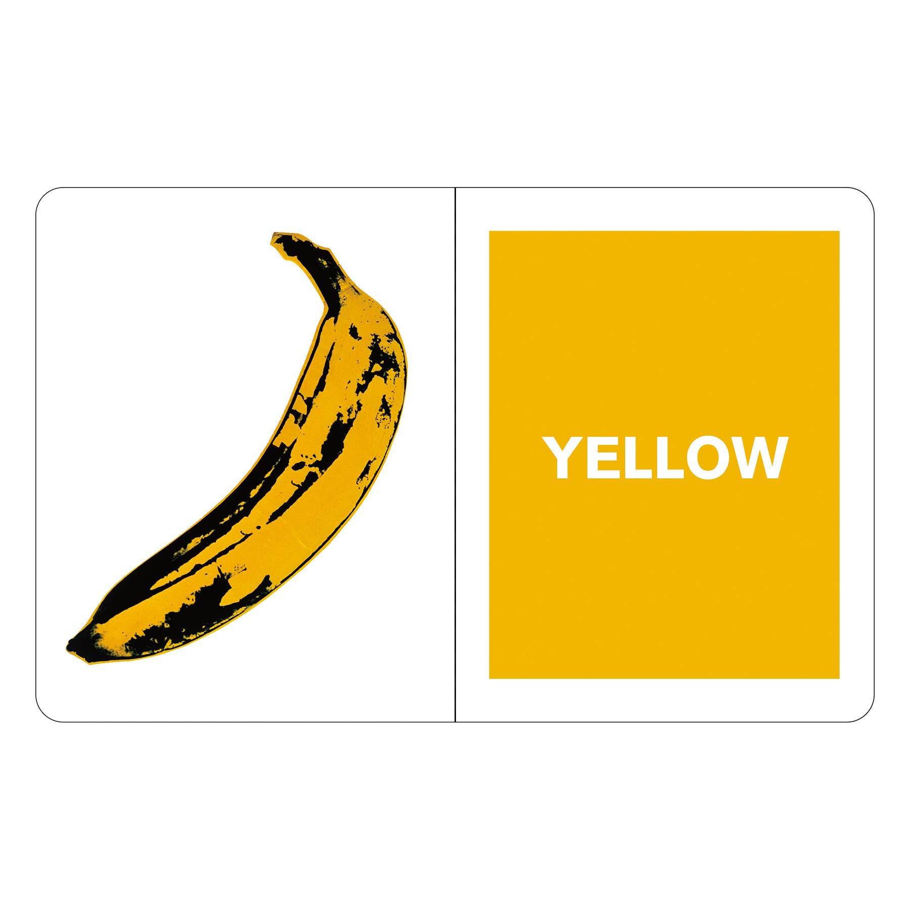 Chronicle Books - Andy Warhol What Colors Do You See? Board Book - PMA Store at the Portland Museum of Art, Maine