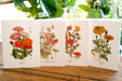 Seattle Seed Co. - Botanical Greeting Cards - Set of 4 - PMA Store at the Portland Museum of Art, Maine