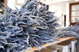 Seattle Seed Co. - Fragrant Dried Grosso French Lavender Flowers Home Decor: Long Stems - PMA Store at the Portland Museum of Art, Maine
