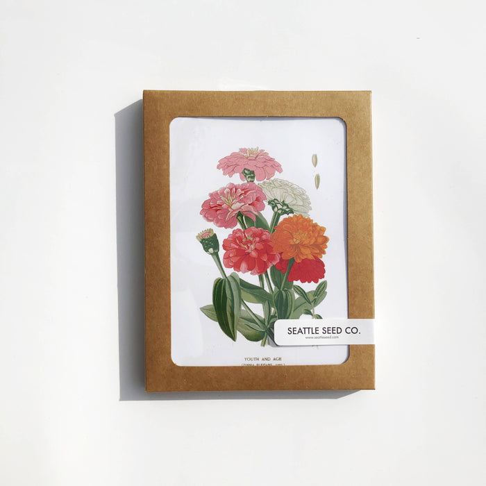 Seattle Seed Co. - Botanical Greeting Cards - Set of 4 - PMA Store at the Portland Museum of Art, Maine
