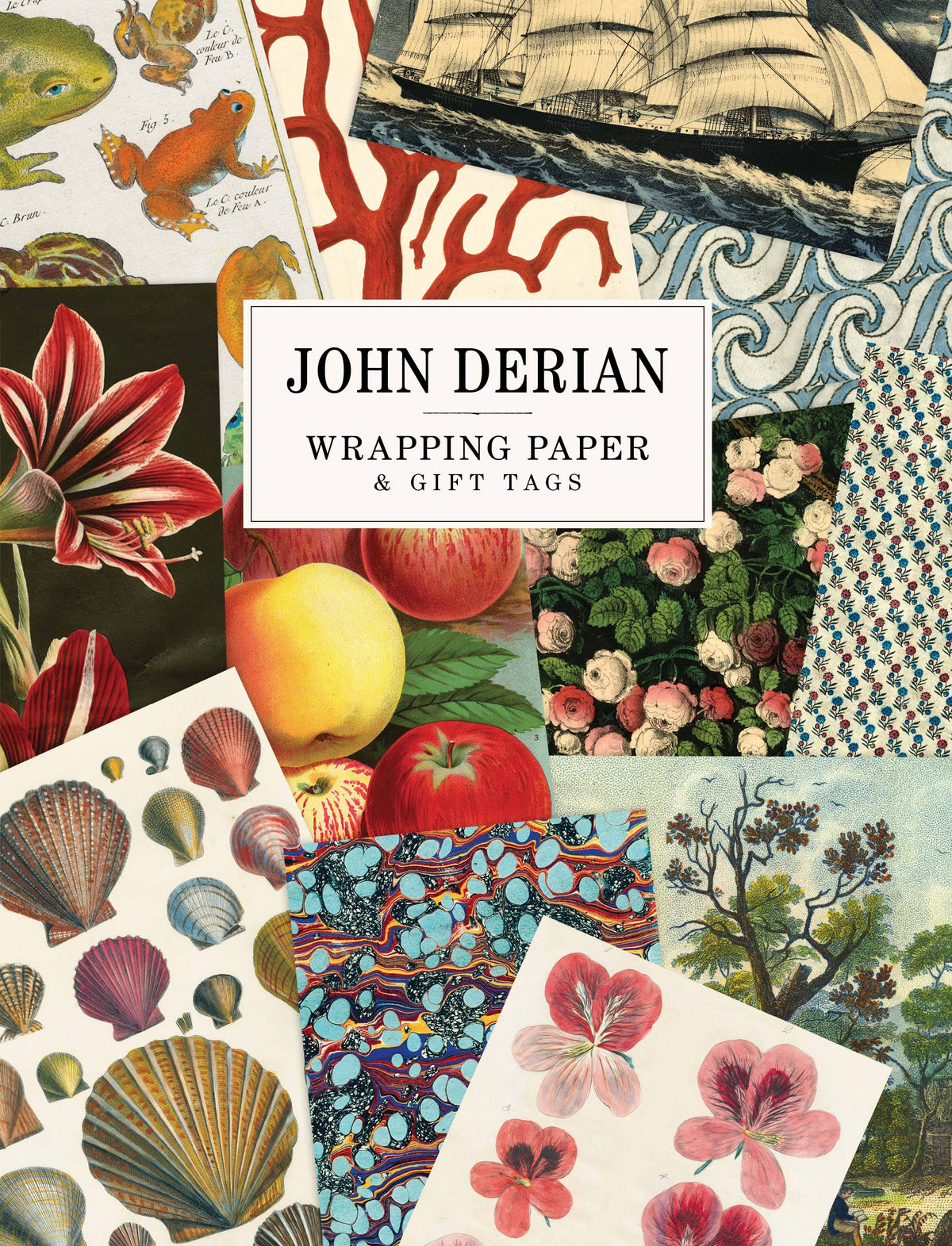Hachette Book Group - John Derian Paper Goods: Wrapping Paper & Gift Tags: Trade Paperback