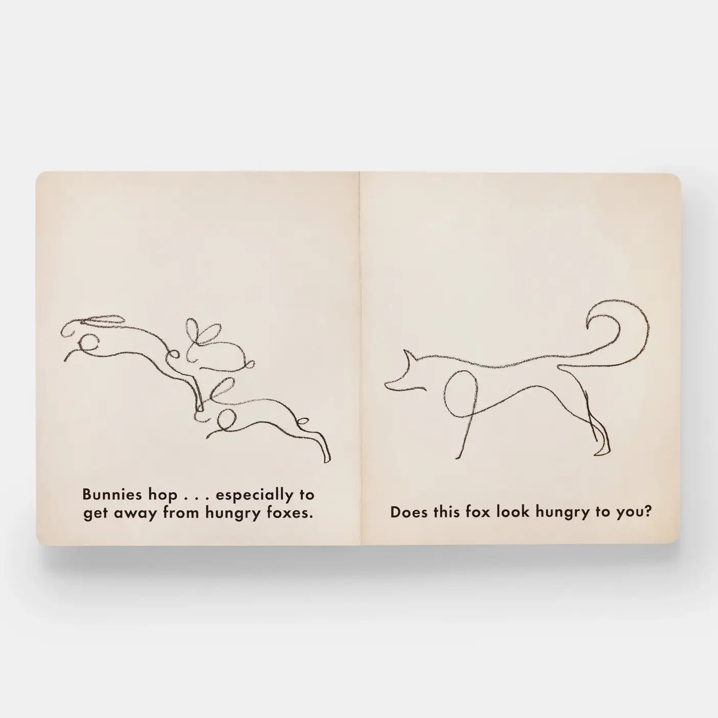 Birds & Other Animals - PMA Store at the Portland Museum of Art, Maine