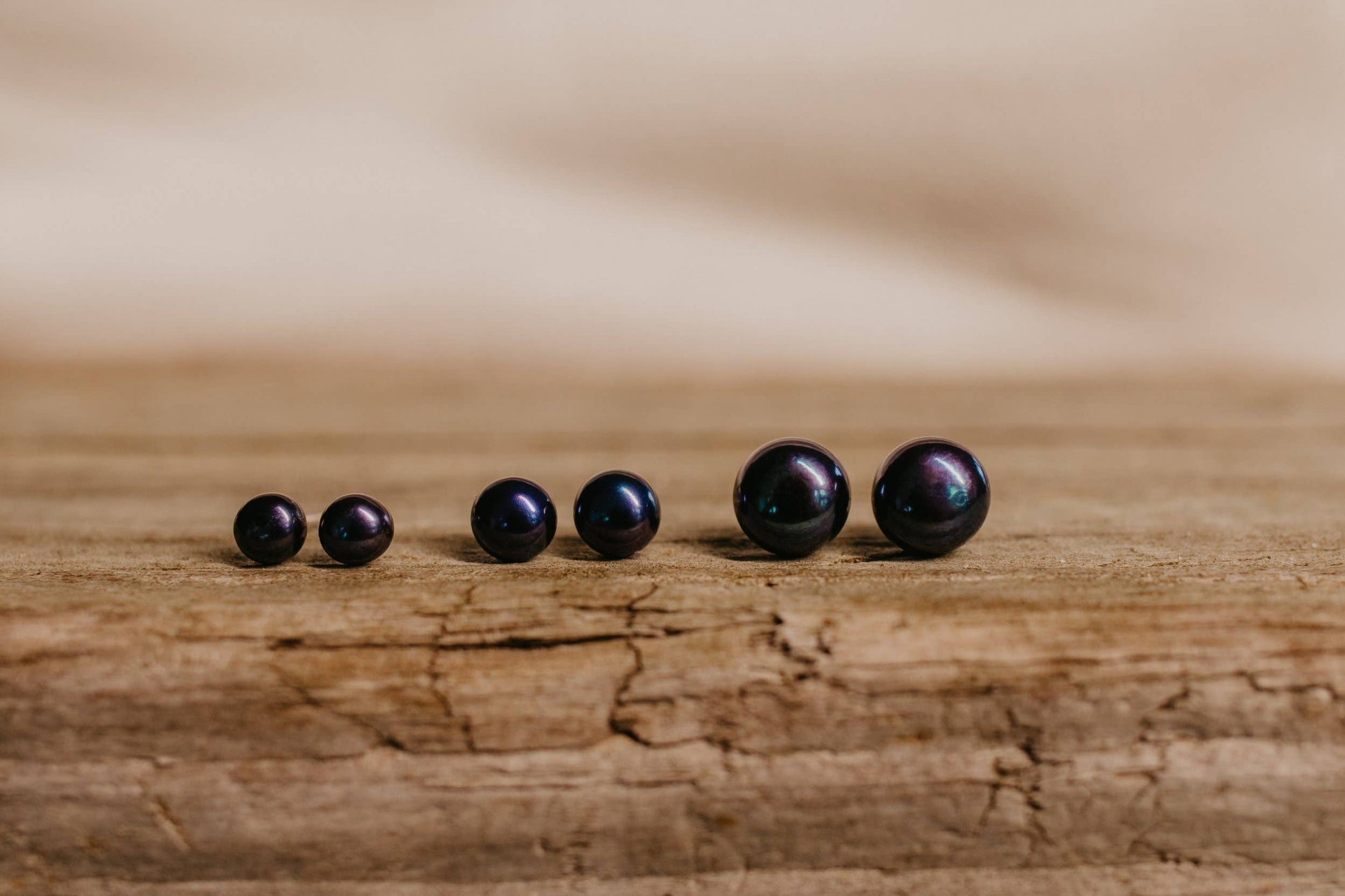 Sea Salt & Silver - Black Pearl Stud Earrings: Large - PMA Store at the Portland Museum of Art, Maine