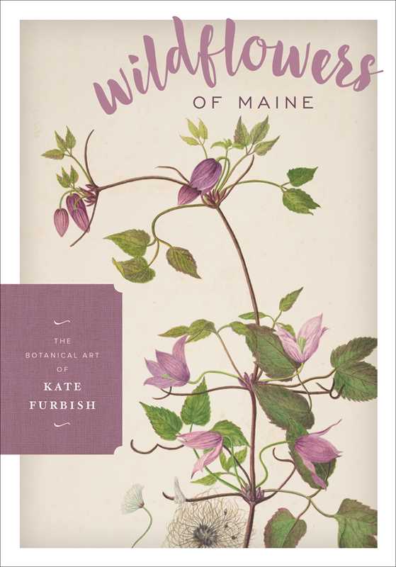 Simon & Schuster - Wildflowers of Maine by: Hardcover; 128 pages / English - PMA Store at the Portland Museum of Art, Maine
