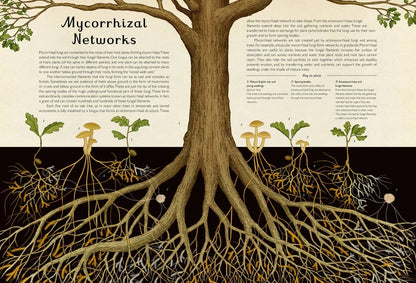 Penguin Random House LLC - Fungarium - PMA Store at the Portland Museum of Art, Maine