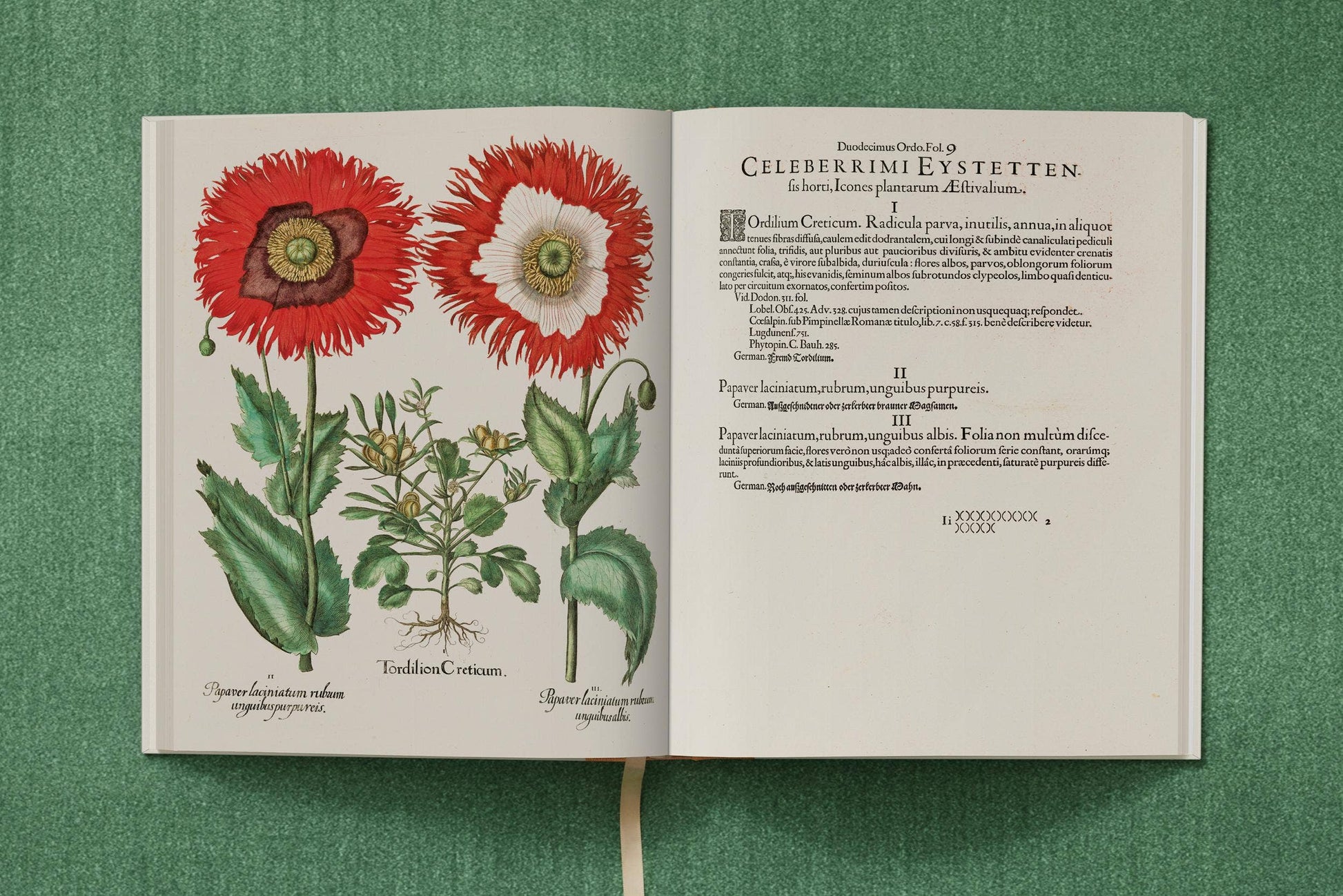 TASCHEN America - Basilius Besler. The Garden at Eichstätt (German, French, English) (FFE) - PMA Store at the Portland Museum of Art, Maine