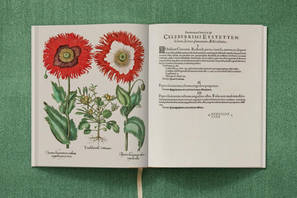 TASCHEN America - Basilius Besler. The Garden at Eichstätt (German, French, English) (FFE) - PMA Store at the Portland Museum of Art, Maine