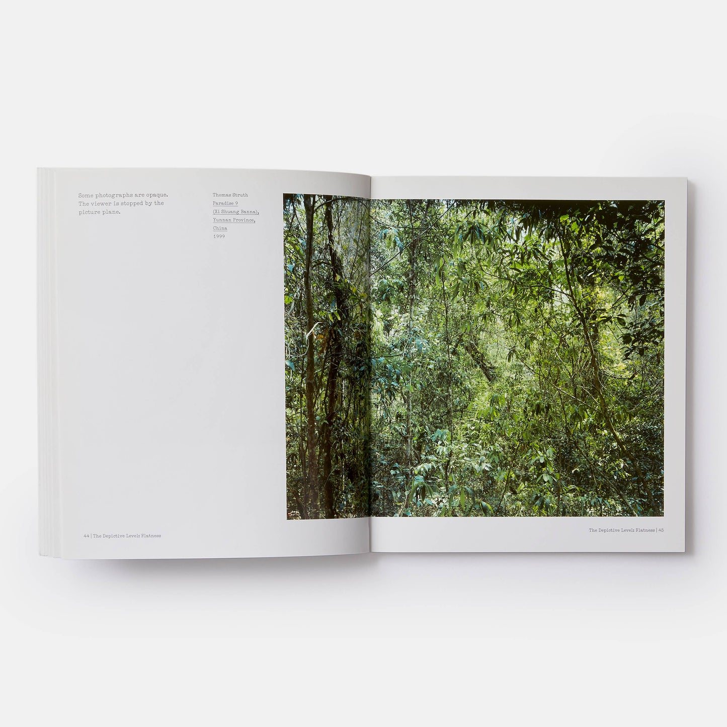 Phaidon - The Nature of Photographs: A Primer - PMA Store at the Portland Museum of Art, Maine