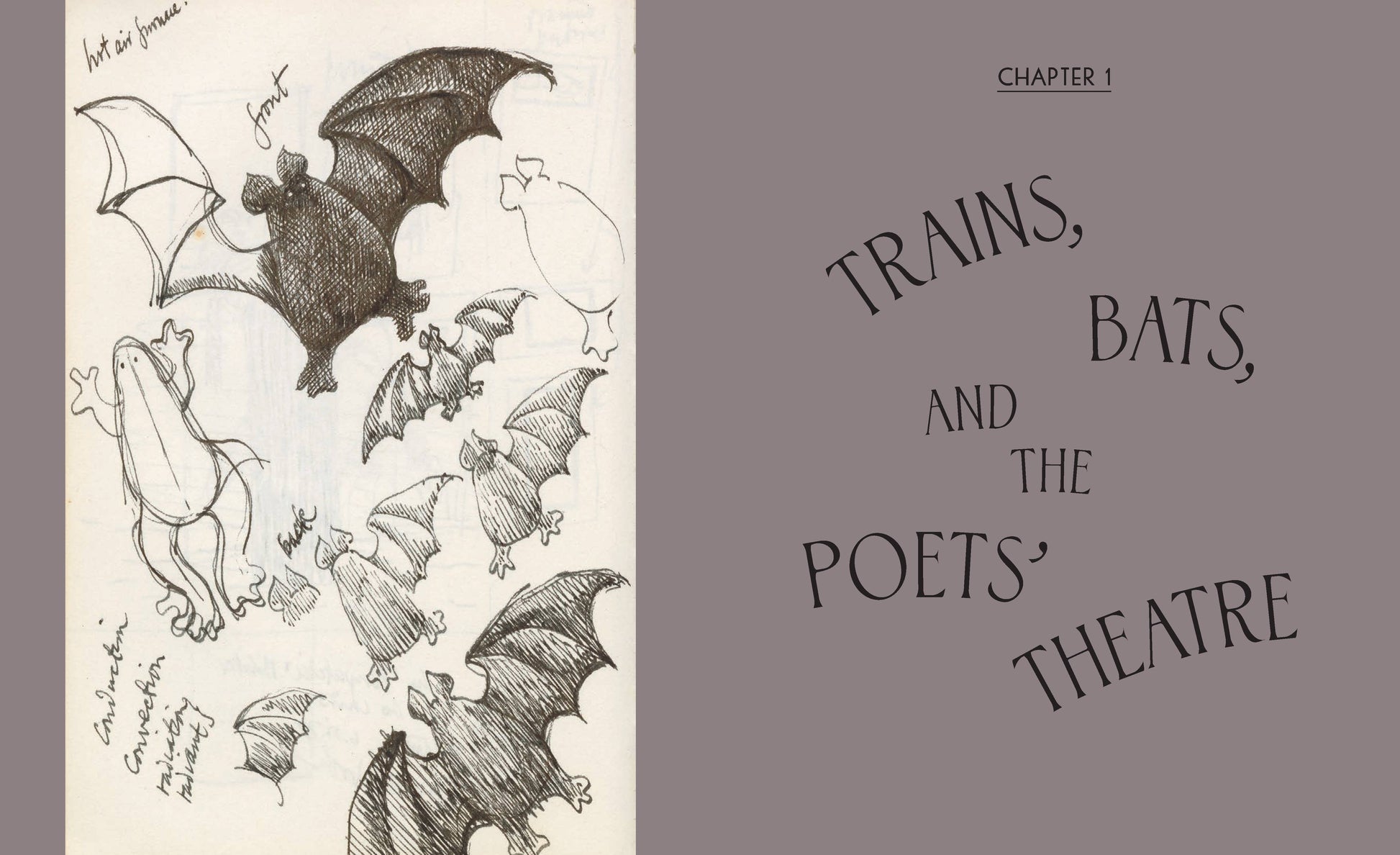Chronicle Books - Theatrical Adventures of Edward Gorey - PMA Store at the Portland Museum of Art, Maine
