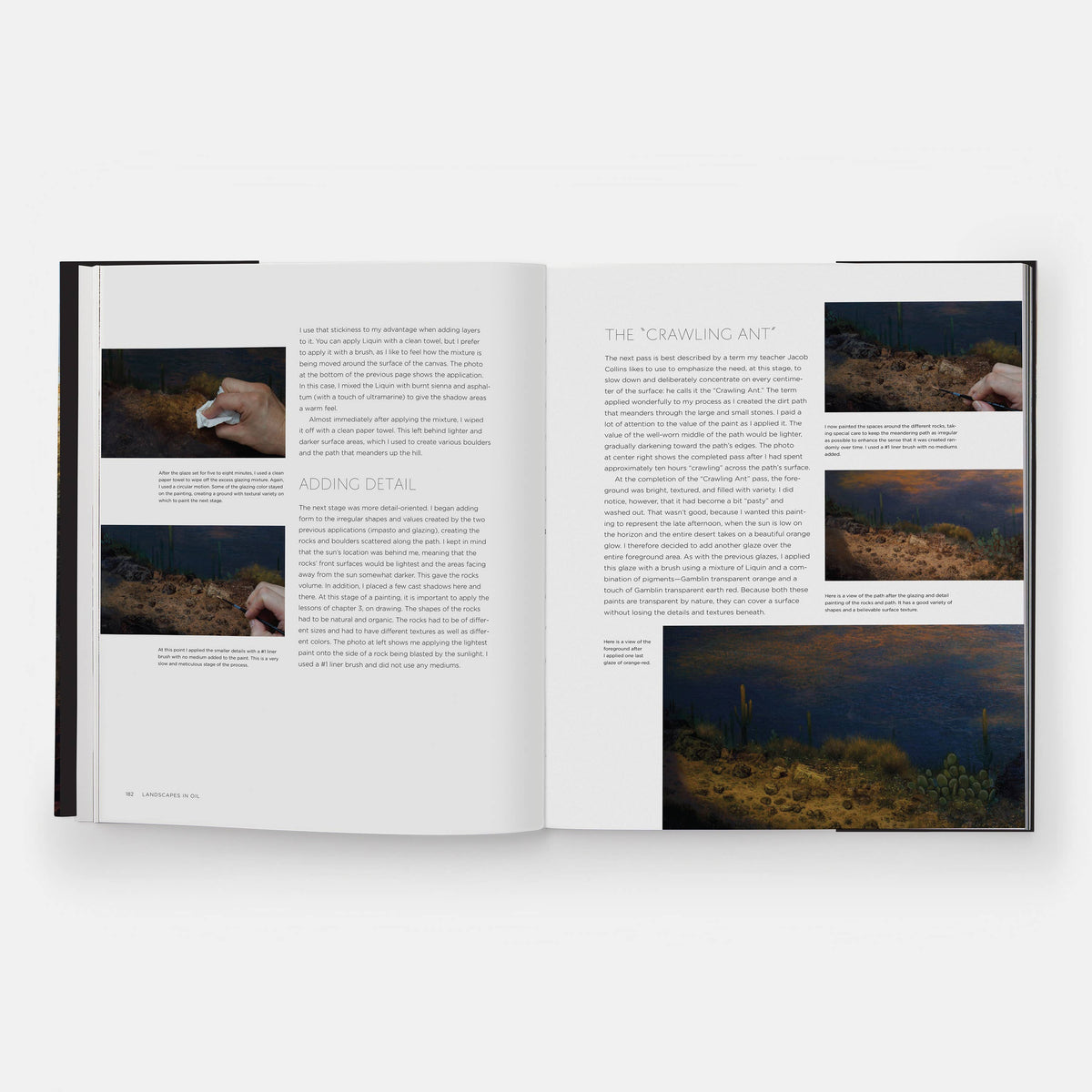 Phaidon - Landscapes in Oil:A Contemporary Guide to Realistic Painting