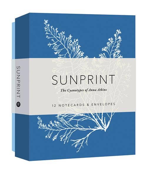 Chronicle Books - Sunprint Ntcds - PMA Store at the Portland Museum of Art, Maine