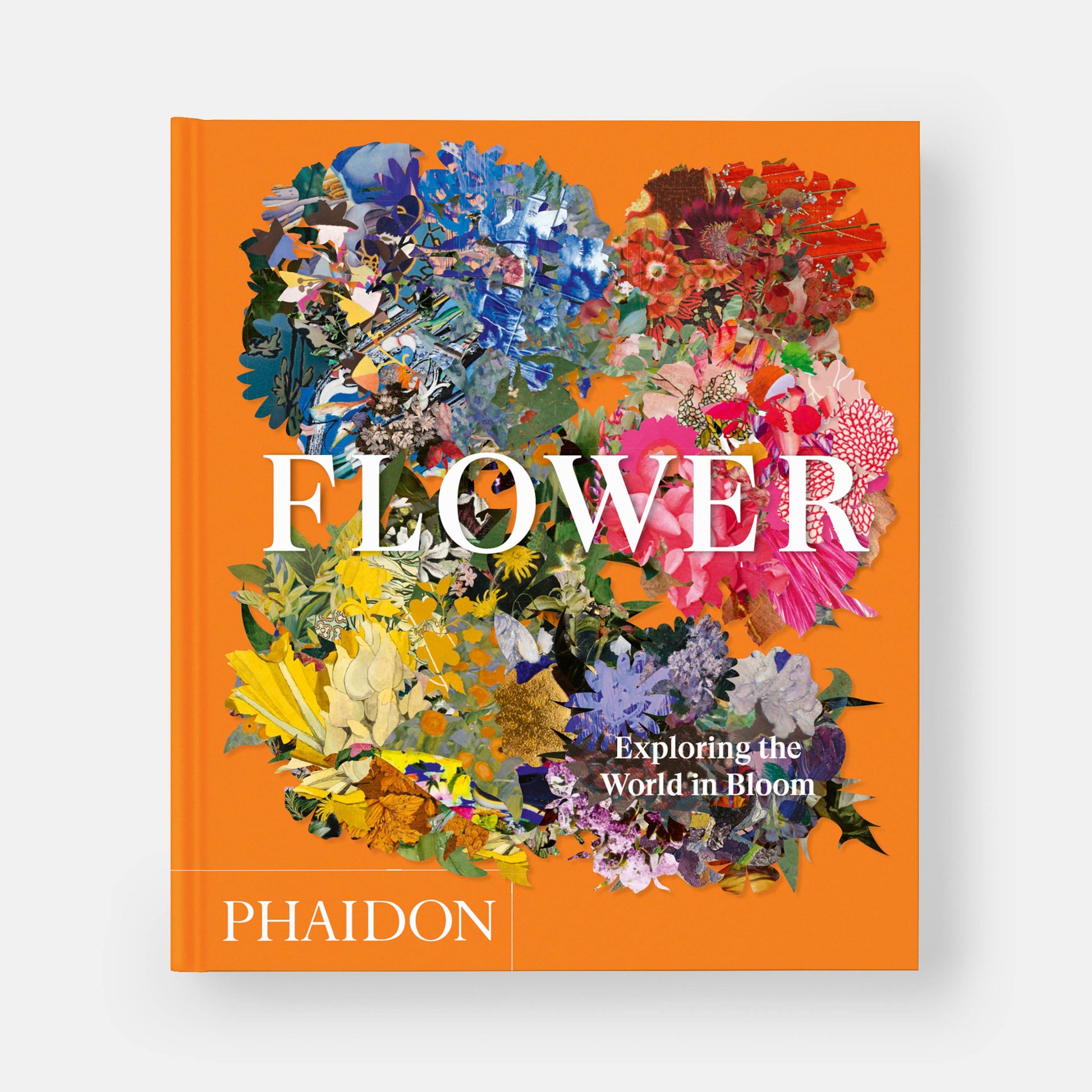 Phaidon - Flower: Exploring the World in Bloom, Compact Format - PMA Store at the Portland Museum of Art, Maine