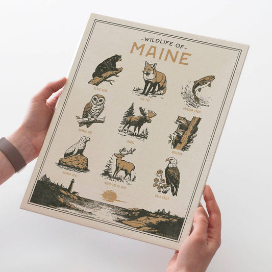 Benoit's Design Co. - Maine Wildlife Print: Unframed 8x10 Print - PMA Store at the Portland Museum of Art, Maine