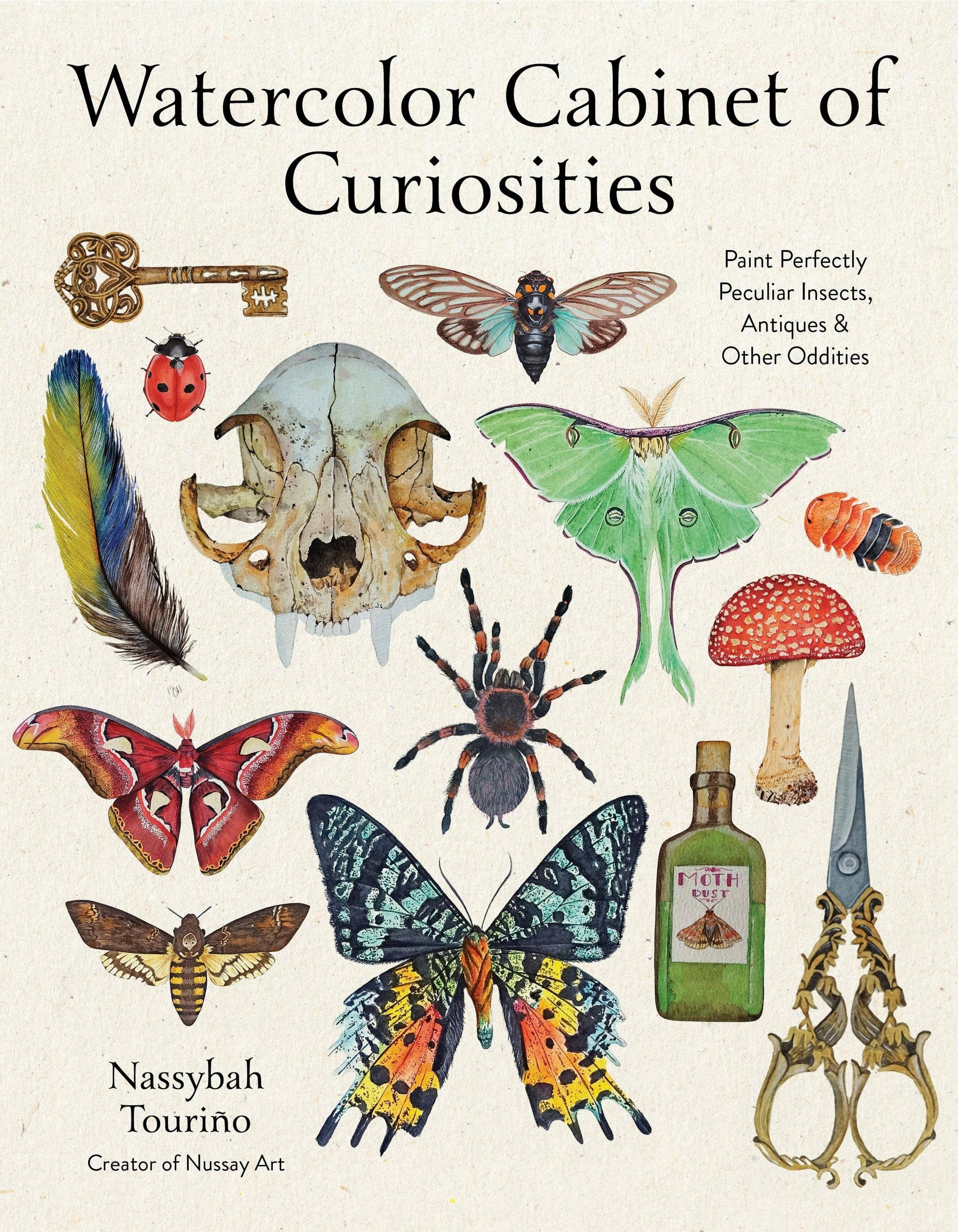 Watercolor Cabinet Of Curiosities - PMA Store at the Portland Museum of Art, Maine