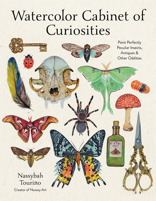 Watercolor Cabinet Of Curiosities - PMA Store at the Portland Museum of Art, Maine