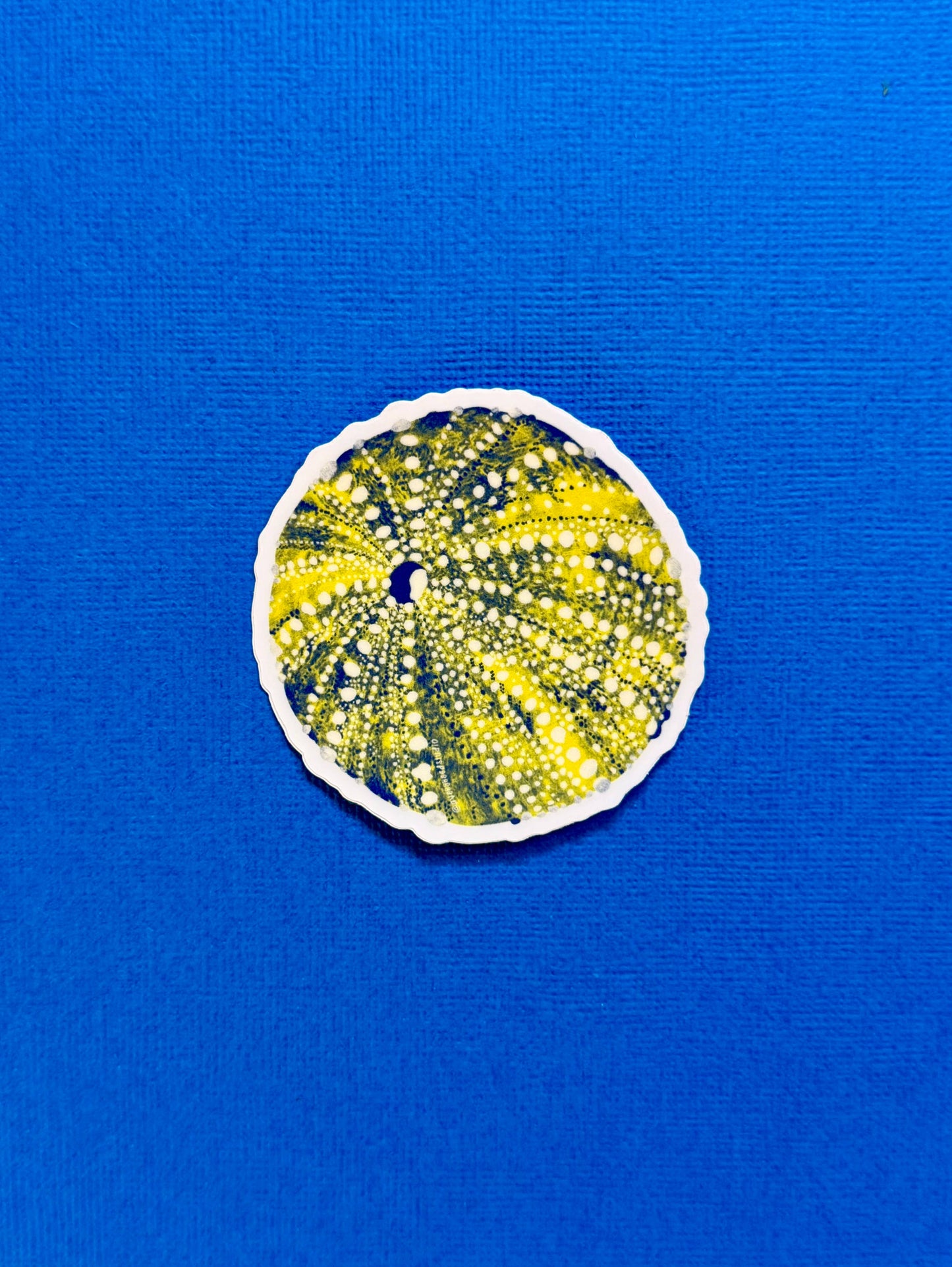 Avery Reed - Sea Urchin Die-Cut Sticker