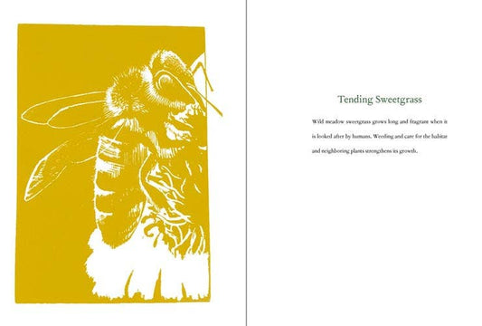 VisionWorks LLC - Braiding Sweetgrass, by Robin Wall Kimmerer. Hardcover - PMA Store at the Portland Museum of Art, Maine