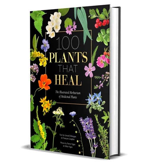 VisionWorks LLC - 100 Plants That Heal:  Illustrated Herbarium Medicinal Plant - PMA Store at the Portland Museum of Art, Maine