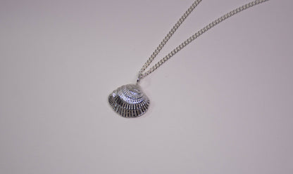 Sea Salt & Silver - Radial Clam Shell Necklace - PMA Store at the Portland Museum of Art, Maine